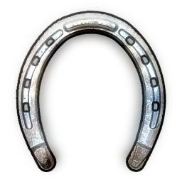 High Quality Horse Shoes